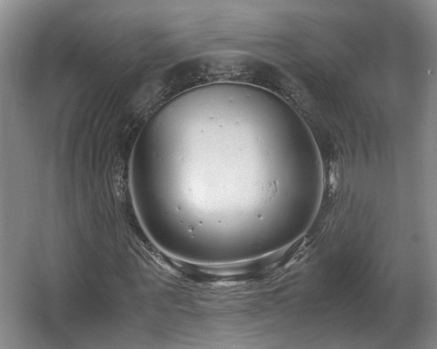 X0000066000867200603061321