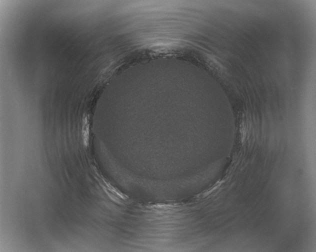 X0000066000868200603061321