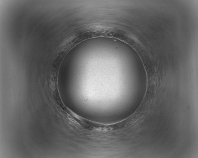 X0000066000869200603061321