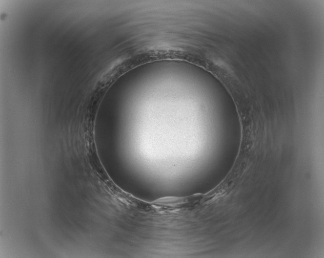 X0000066000870200603061321