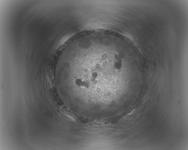 X0000066000871200603061321