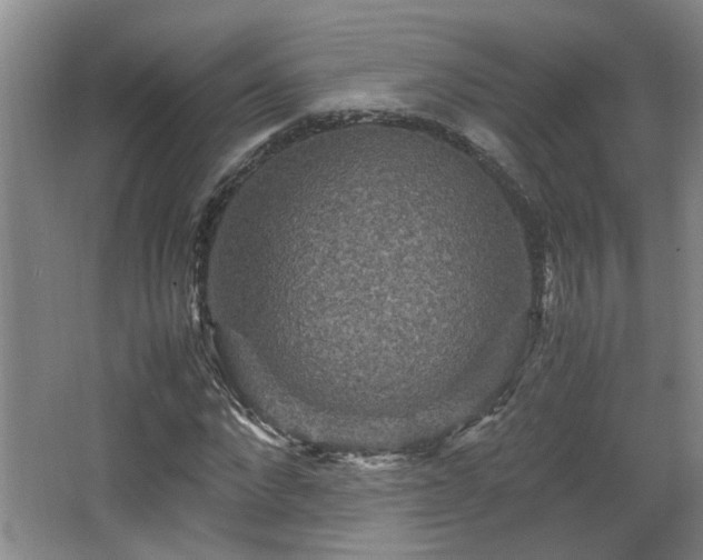 X0000066000872200603061321