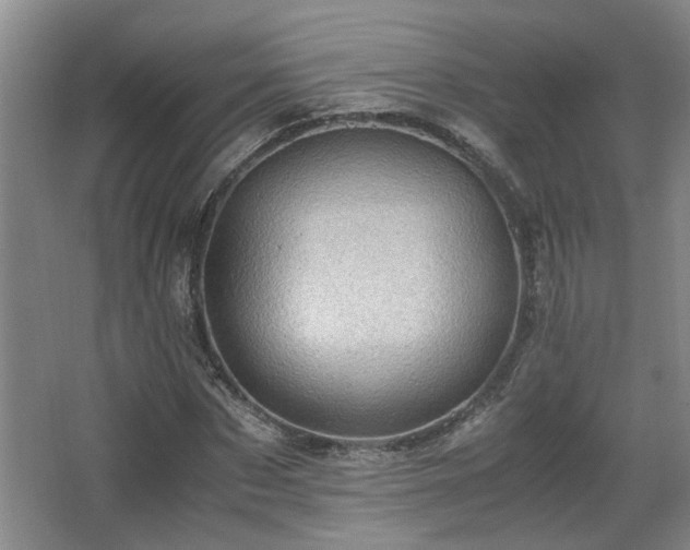 X0000066000873200603061321