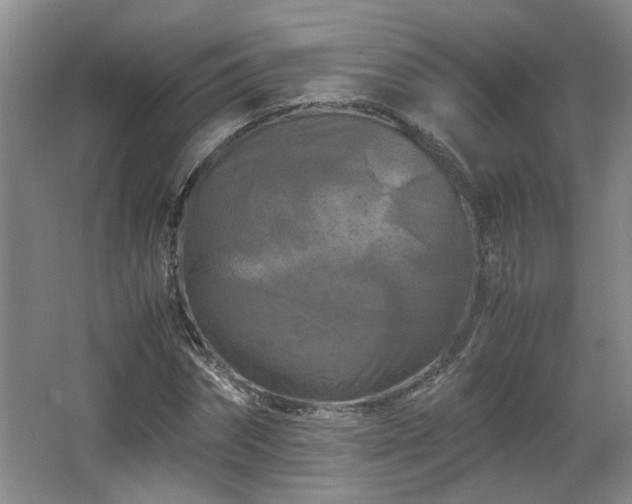 X0000066000874200603061321