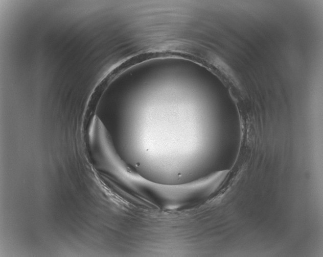 X0000066000876200603061321