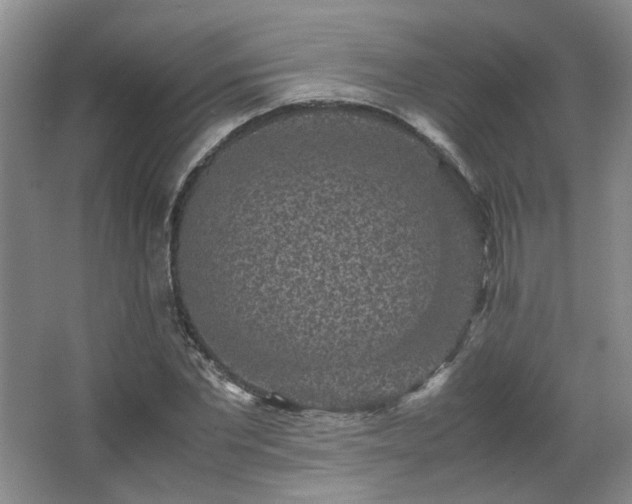 X0000066000877200603061321