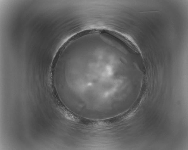 X0000066000879200603061321