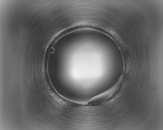 X0000066000880200603061320