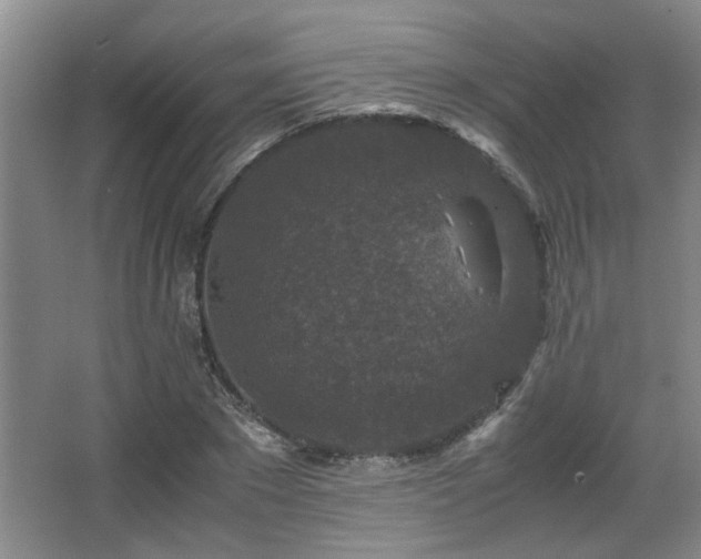 X0000066000881200603061320