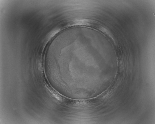 X0000066000882200603061320