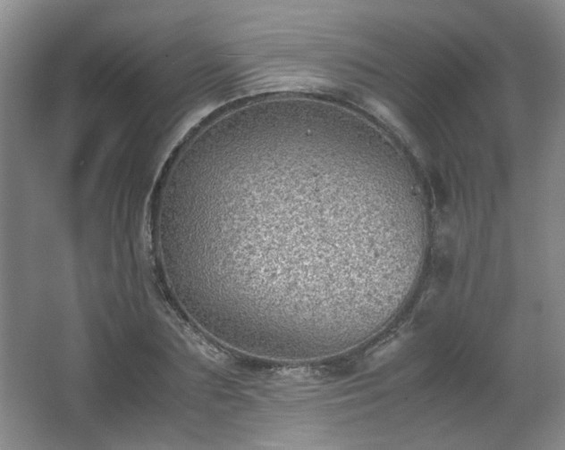 X0000066000883200603061320