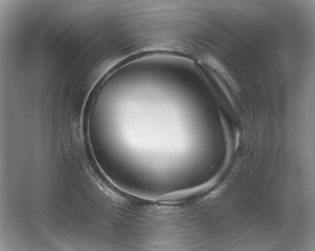 X0000066000884200603061320