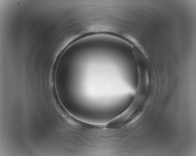 X0000066000885200603061320