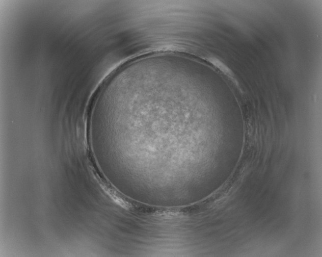 X0000066000886200603061320