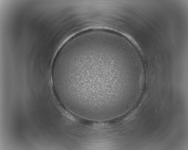 X0000066000887200603061320