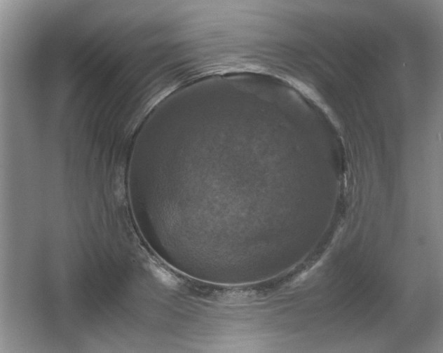 X0000066000889200603061320