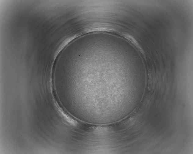 X0000066000890200603061320