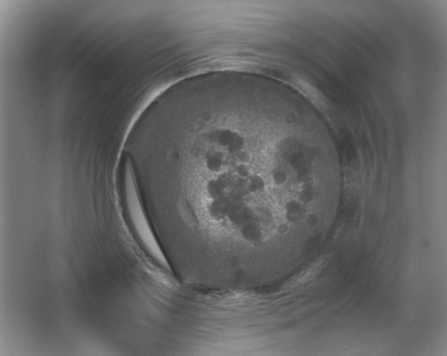 X0000066000891200603061320