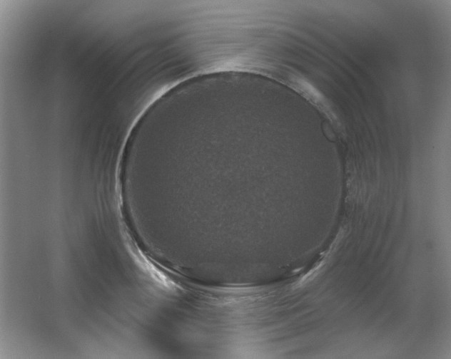 X0000066000892200603061320