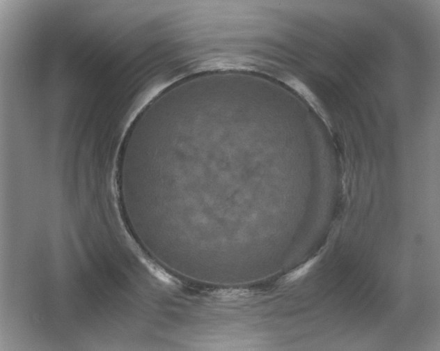 X0000066000893200603061320