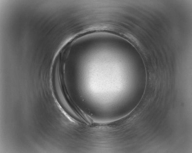 X0000066000894200603061320