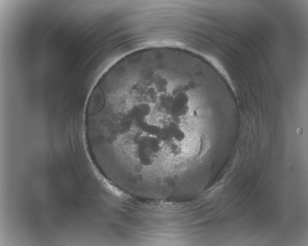 X0000066000895200603061320