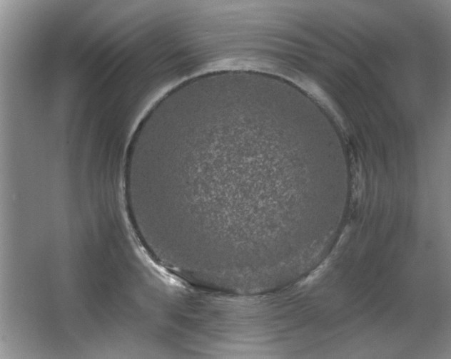 X0000066000896200603061320