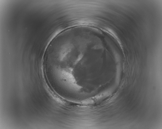 X0000066000899200603061320