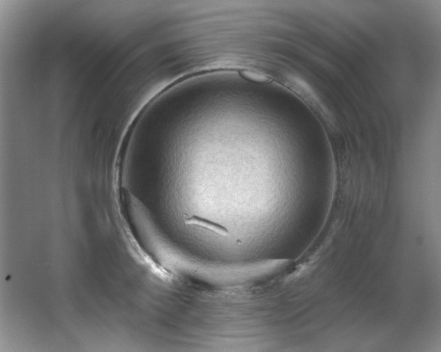 X0000066000900200603061320