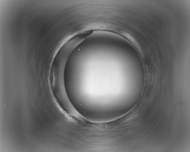 X0000066000901200603061320