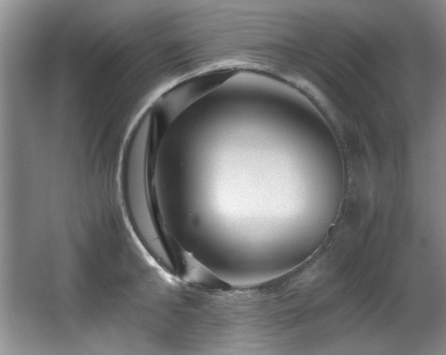 X0000066000902200603061320