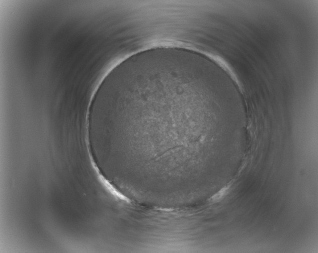 X0000066000903200603061320