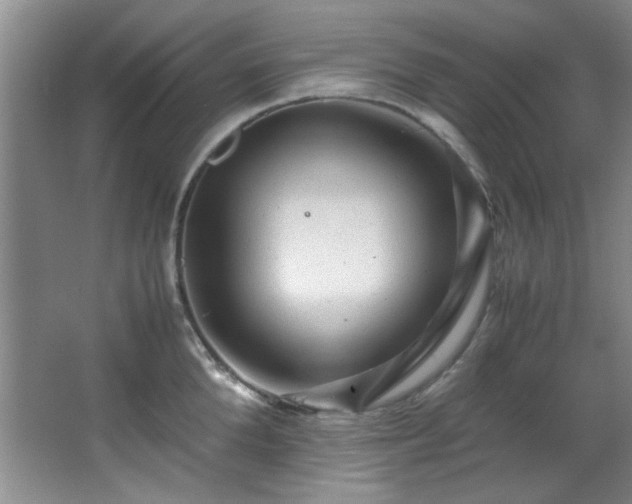 X0000066000904200603061320