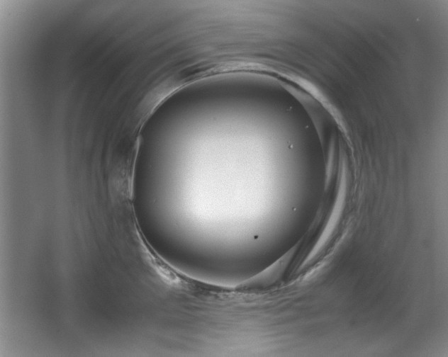 X0000066000905200603061320