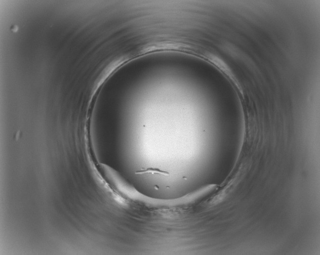 X0000066000906200603061320