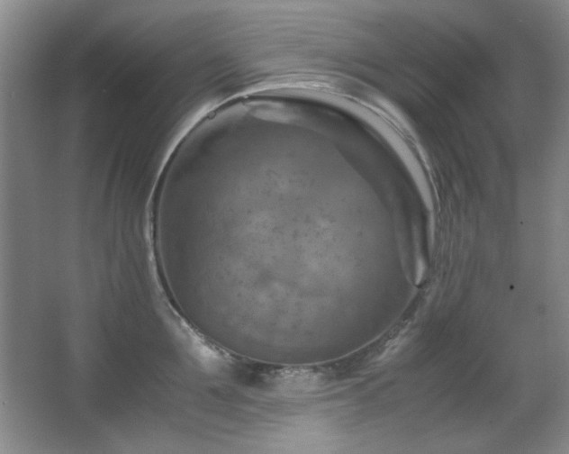 X0000066000907200603061320