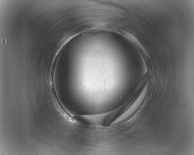 X0000066000908200603061320