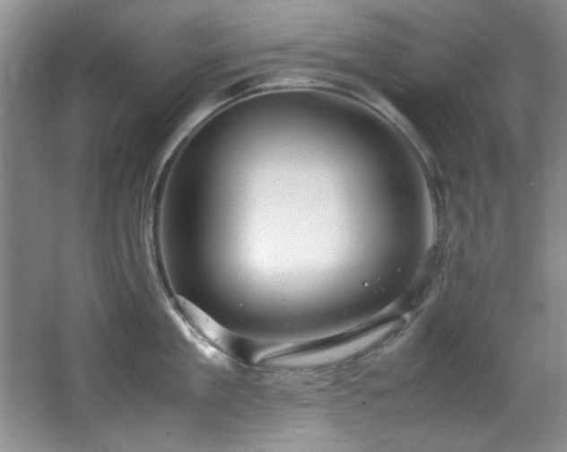 X0000066000909200603061320