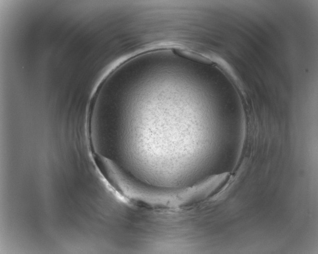 X0000066000910200603061320