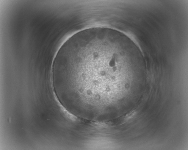 X0000066000911200603061320