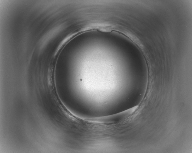 X0000066000912200603061320