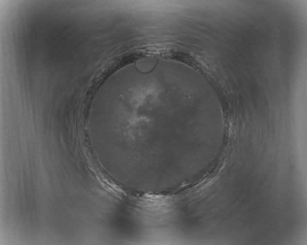 X0000066000913200603061319