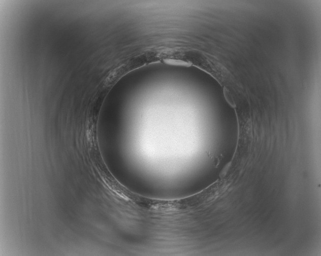 X0000066000914200603061319