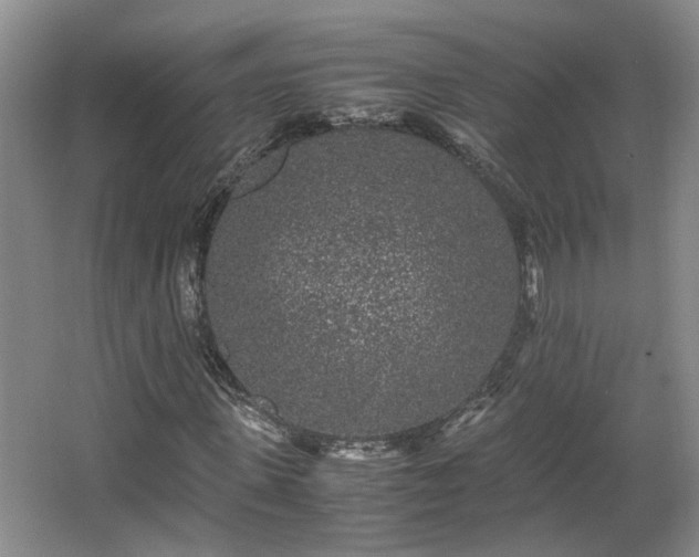 X0000066000915200603061319