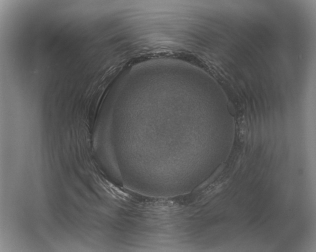 X0000066000916200603061319