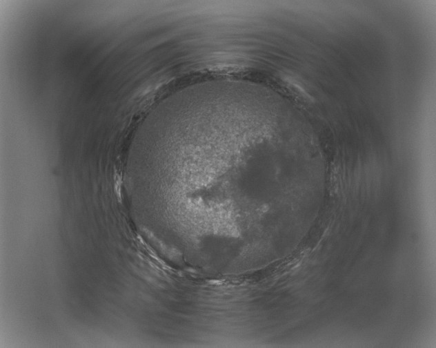 X0000066000917200603061319