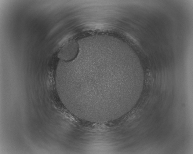 X0000066000918200603061319