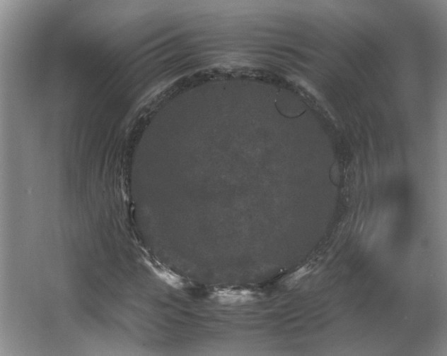 X0000066000919200603061319