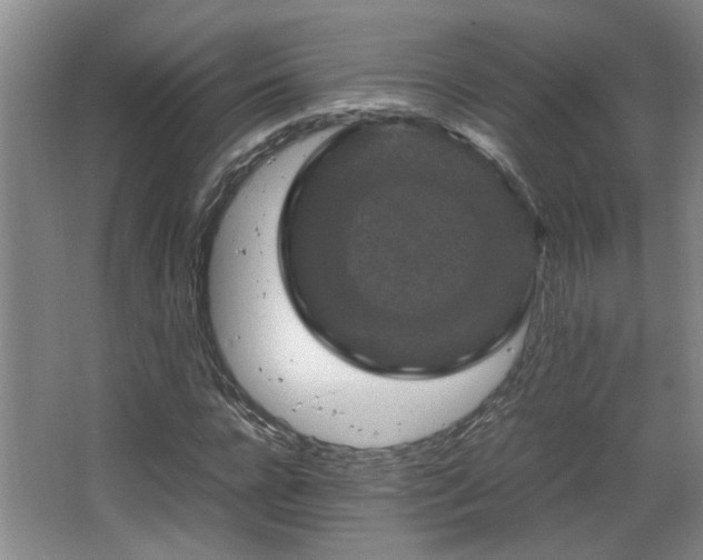 X0000066000920200603061319