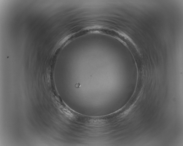 X0000066000921200603061319